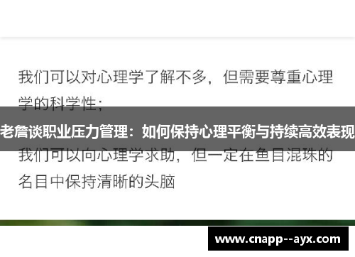 老詹谈职业压力管理:如何保持心理平衡与持续高效表现 老詹谈职业压力管理:如何保持心理平衡与持续高效表现