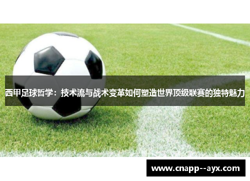 西甲足球哲学：技术流与战术变革如何塑造世界顶级联赛的独特魅力