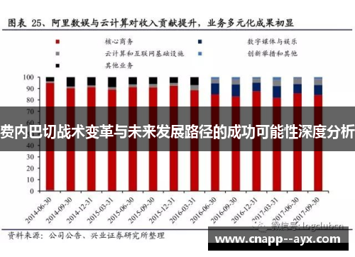 费内巴切战术变革与未来发展路径的成功可能性深度分析