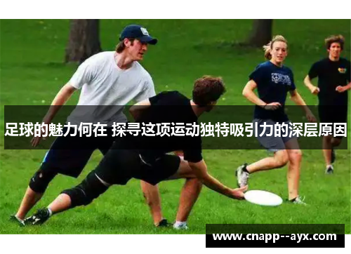 足球的魅力何在 探寻这项运动独特吸引力的深层原因 足球的魅力何在 探寻这项运动独特吸引力的深层原因