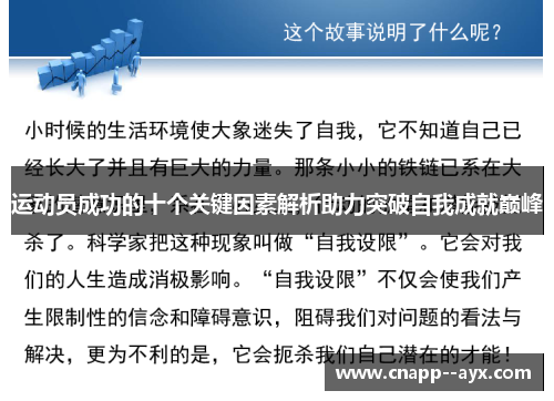 运动员成功的十个关键因素解析助力突破自我成就巅峰 运动员成功的十个关键因素解析助力突破自我成就巅峰