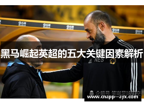 黑马崛起英超的五大关键因素解析 黑马崛起英超的五大关键因素解析
