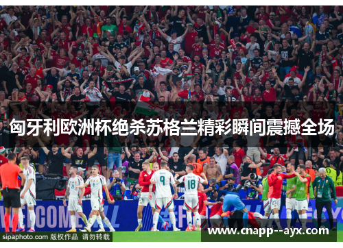 匈牙利欧洲杯绝杀苏格兰精彩瞬间震撼全场 匈牙利欧洲杯绝杀苏格兰精彩瞬间震撼全场