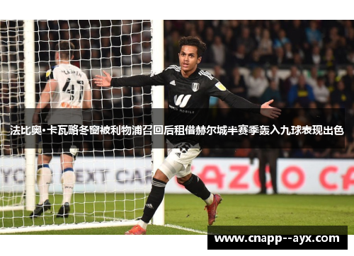 法比奥·卡瓦略冬窗被利物浦召回后租借赫尔城半赛季轰入九球表现出色 法比奥·卡瓦略冬窗被利物浦召回后租借赫尔城半赛季轰入九球表现出色