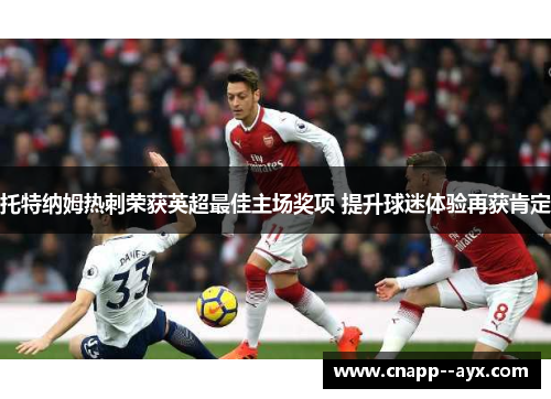 托特纳姆热刺荣获英超最佳主场奖项 提升球迷体验再获肯定