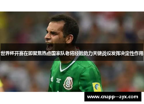 世界杯开赛在即聚焦热点国家队老将经验助力关键战役发挥决定性作用