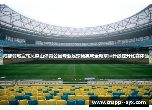 成都蓉城宣布凤凰山体育公园专业足球场完成全新草坪升级提升比赛体验