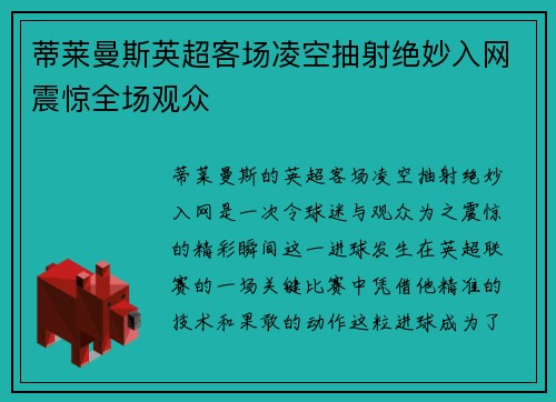 蒂莱曼斯英超客场凌空抽射绝妙入网震惊全场观众